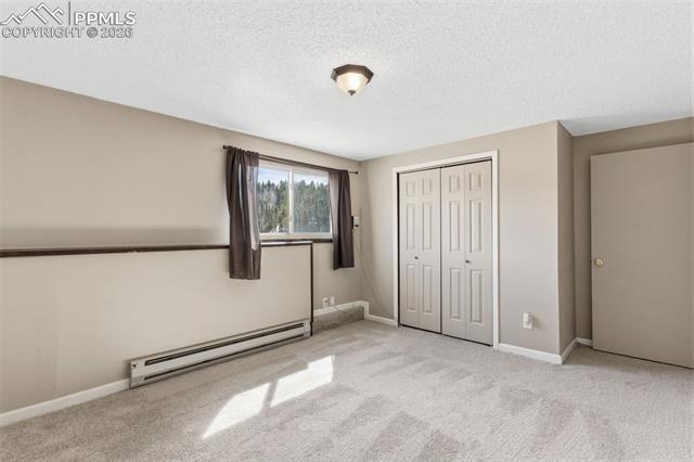 MLS Image for 178  Cottonwood Lake  ,Divide, Colorado