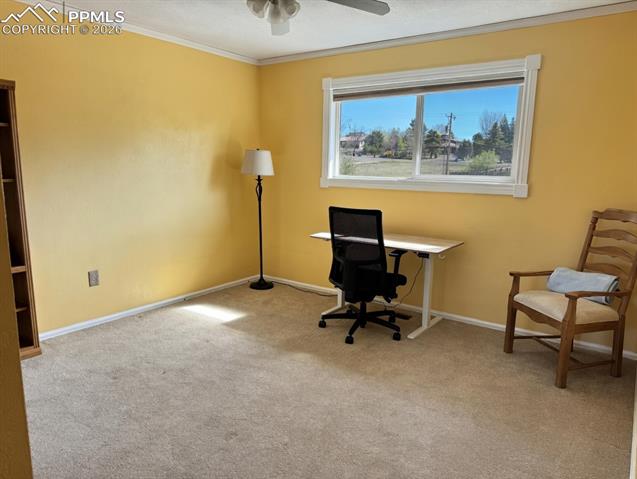 MLS Image for 4955  Diamond  ,Colorado Springs, Colorado