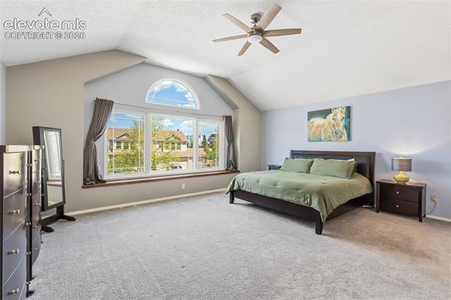 MLS Image for 8925  Edgefield  ,Colorado Springs, Colorado