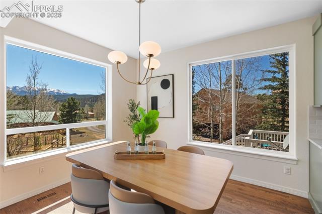 MLS Image for 120  Red Clover  ,Woodland Park, Colorado