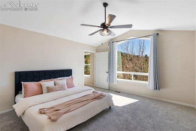 MLS Image for 120  Red Clover  ,Woodland Park, Colorado
