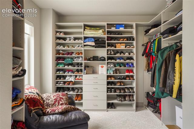 MLS Image for 11851  Artful  ,Colorado Springs, Colorado
