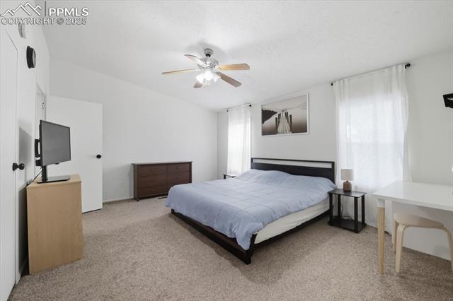 MLS Image for 4735  Adrienne  ,Colorado Springs, Colorado