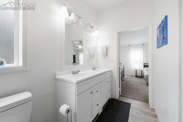 MLS Image for 4735  Adrienne  ,Colorado Springs, Colorado