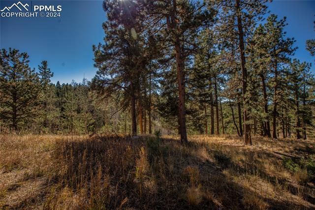 MLS Image for 944  County Road 512  ,Divide, Colorado