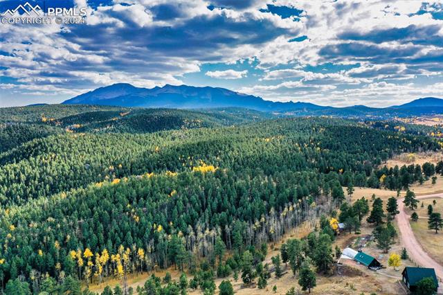 MLS Image for 700  Markus  ,Woodland Park, Colorado