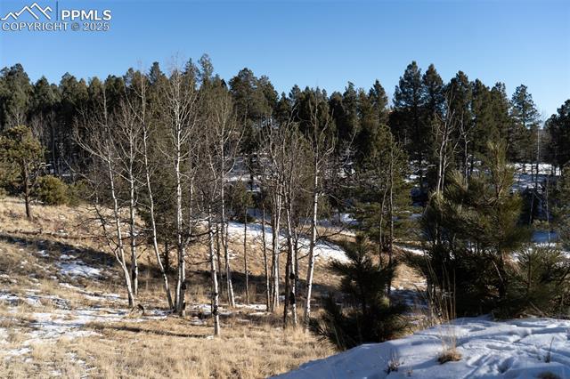 MLS Image for 1648 N Mountain Estates  ,Florissant, Colorado