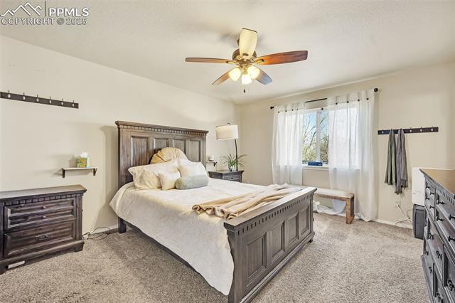MLS Image for 6645  Weeping Willow  ,Colorado Springs, Colorado