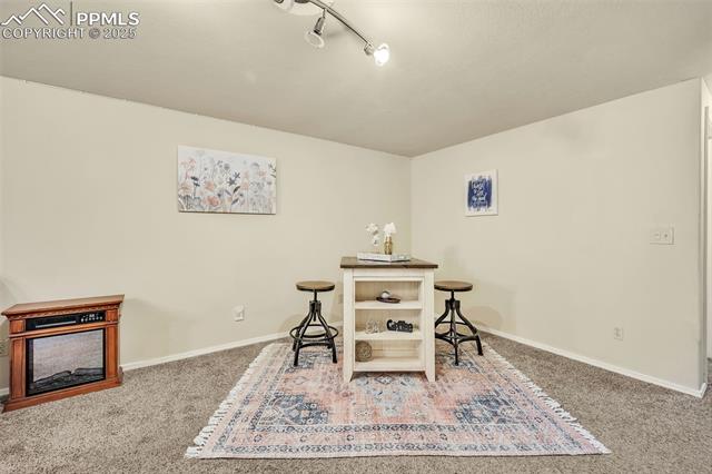 MLS Image for 6645  Weeping Willow  ,Colorado Springs, Colorado