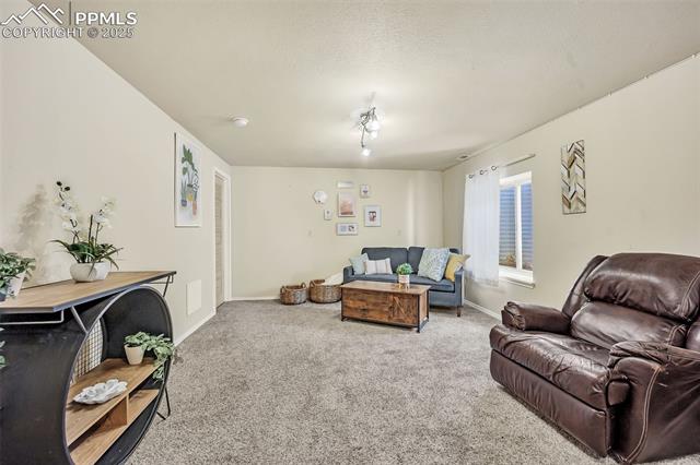 MLS Image for 6645  Weeping Willow  ,Colorado Springs, Colorado