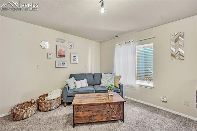 MLS Image for 6645  Weeping Willow  ,Colorado Springs, Colorado