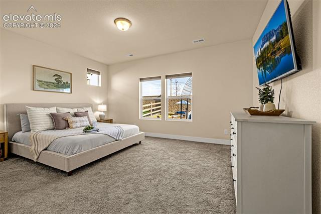 MLS Image for 9329  Bugaboo  ,Colorado Springs, Colorado