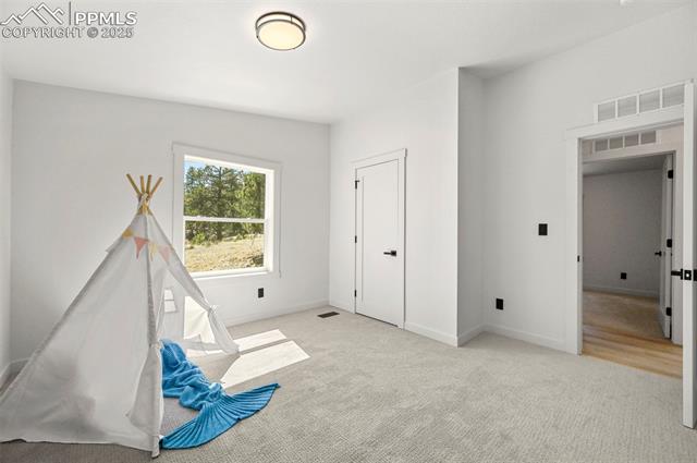 MLS Image for 109  Forge  ,Florissant, Colorado