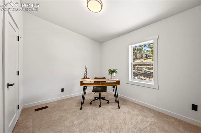 MLS Image for 109  Forge  ,Florissant, Colorado