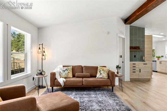 MLS Image for 109  Forge  ,Florissant, Colorado