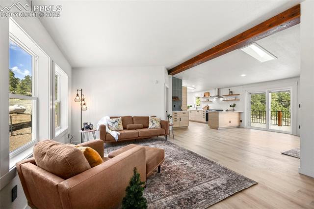 MLS Image for 109  Forge  ,Florissant, Colorado