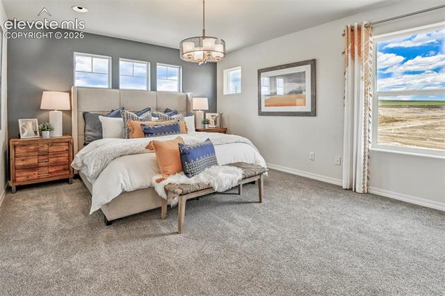 MLS Image for 8522  Blue Feather  ,Colorado Springs, Colorado