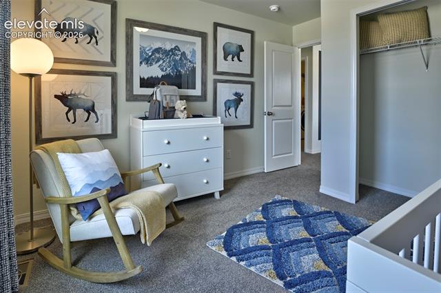 MLS Image for 8522  Blue Feather  ,Colorado Springs, Colorado