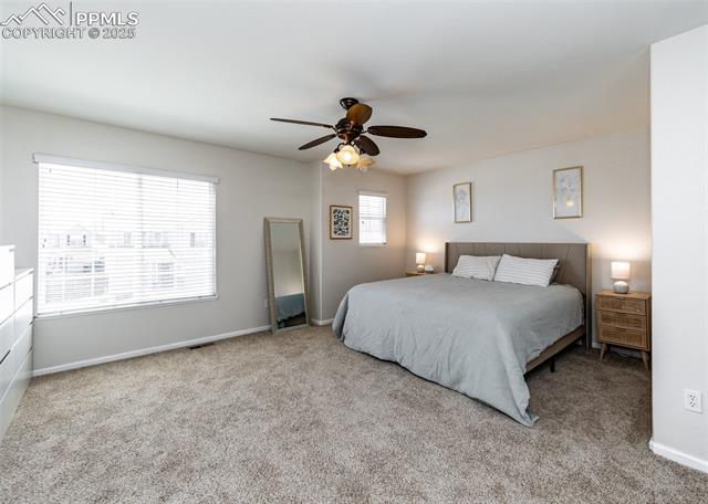 MLS Image for 4818  Turning Leaf  ,Colorado Springs, Colorado