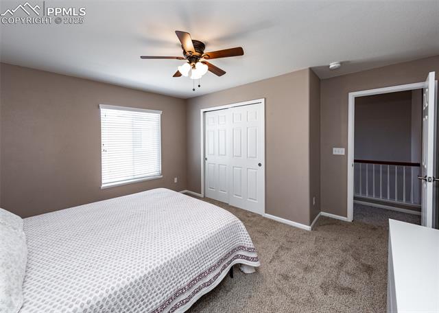 MLS Image for 4818  Turning Leaf  ,Colorado Springs, Colorado