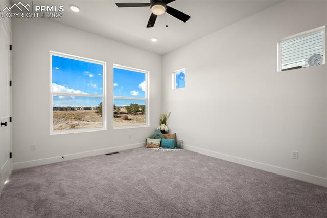 MLS Image for 8990  Frolic  ,Colorado Springs, Colorado