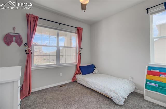 MLS Image for 2342  SOLTERRA  ,Colorado Springs, Colorado