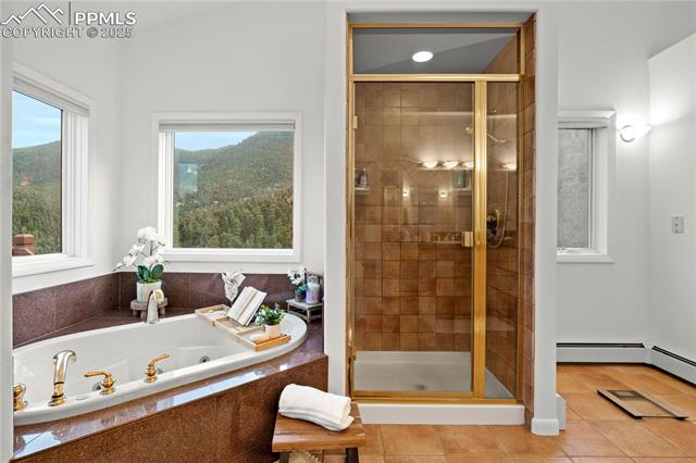 MLS Image for 302  Earthsong  ,Manitou Springs, Colorado