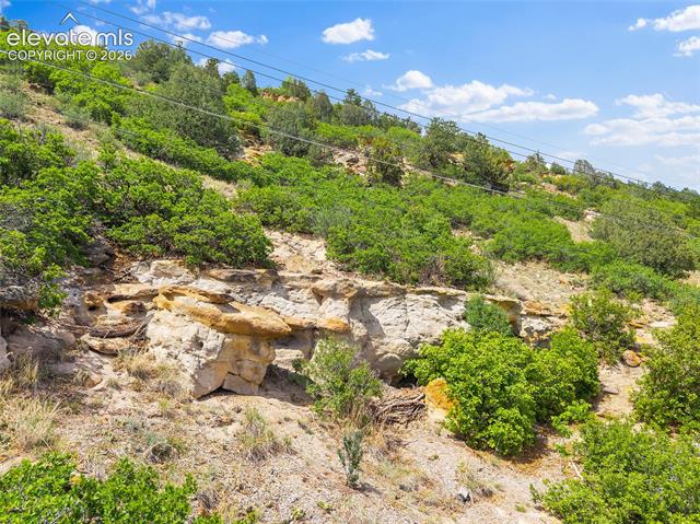MLS Image for 4124  Lupine  ,Colorado Springs, Colorado