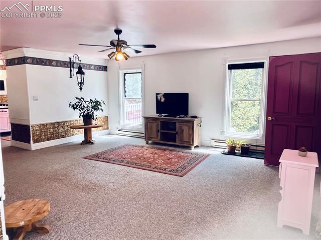 MLS Image for 500  Pinon Lake  ,Divide, Colorado