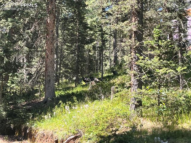 MLS Image for 500  Pinon Lake  ,Divide, Colorado