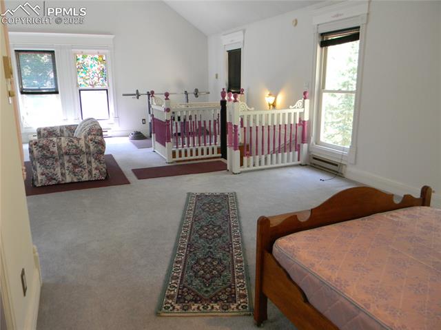 MLS Image for 500  Pinon Lake  ,Divide, Colorado