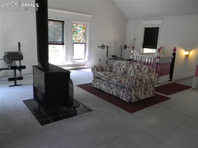 MLS Image for 500  Pinon Lake  ,Divide, Colorado