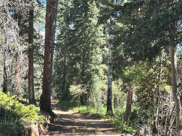 MLS Image for 500  Pinon Lake  ,Divide, Colorado