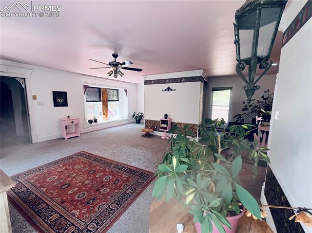 MLS Image for 500  Pinon Lake  ,Divide, Colorado