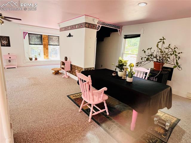 MLS Image for 500  Pinon Lake  ,Divide, Colorado