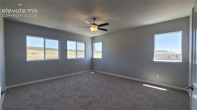 MLS Image for 10651  Wolf Lake  ,Colorado Springs, Colorado