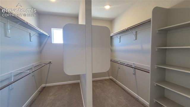MLS Image for 10651  Wolf Lake  ,Colorado Springs, Colorado