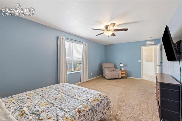 MLS Image for 6206  Meadowbank  ,Colorado Springs, Colorado