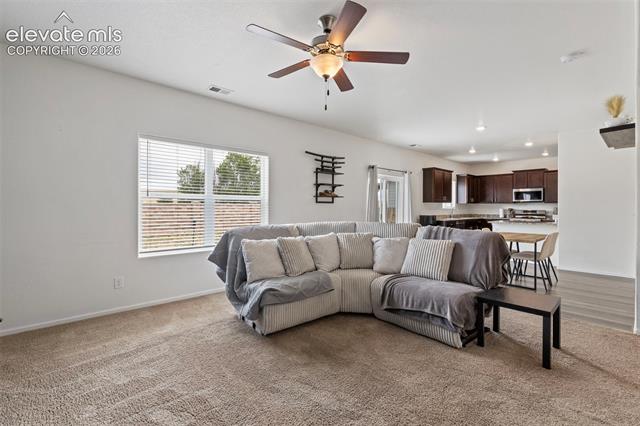 MLS Image for 6206  Meadowbank  ,Colorado Springs, Colorado