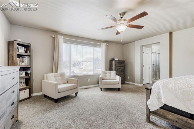 MLS Image for 10296  Hidden Park  ,Peyton, Colorado