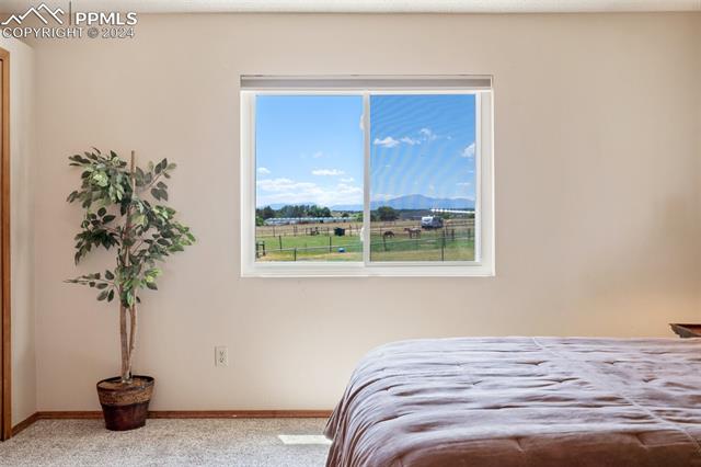 MLS Image for 13515  Halleluiah  ,Elbert, Colorado