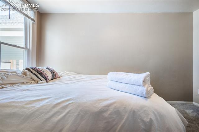 MLS Image for 2432 N Weber  ,Colorado Springs, Colorado