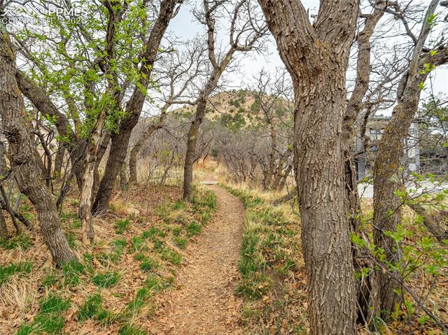 MLS Image for 284  Crystal Park  ,Manitou Springs, Colorado