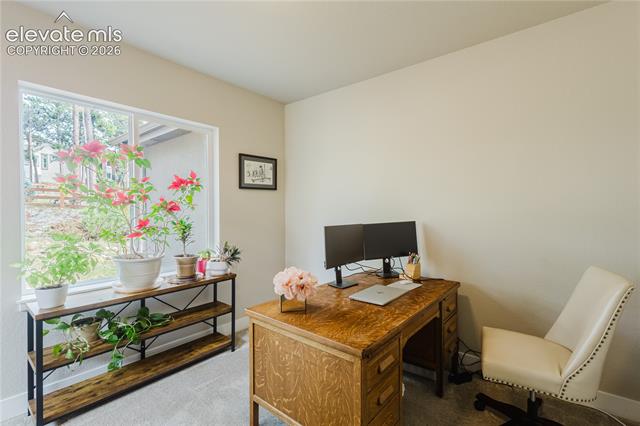 MLS Image for 16335  Treetop  ,Monument, Colorado