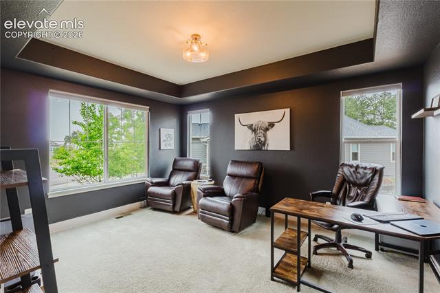 MLS Image for 16335  Treetop  ,Monument, Colorado