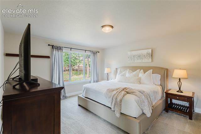 MLS Image for 16335  Treetop  ,Monument, Colorado
