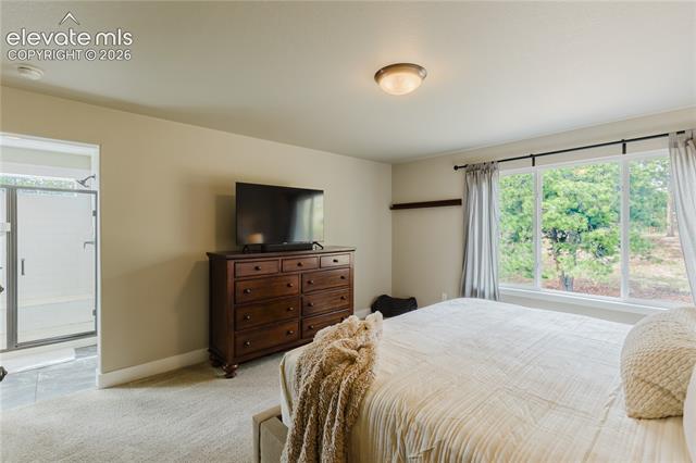 MLS Image for 16335  Treetop  ,Monument, Colorado