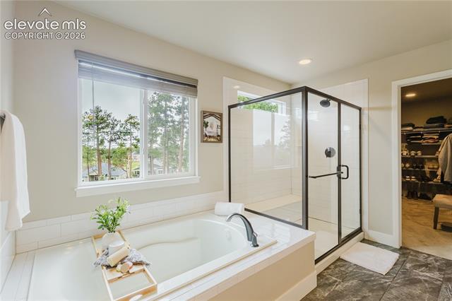 MLS Image for 16335  Treetop  ,Monument, Colorado