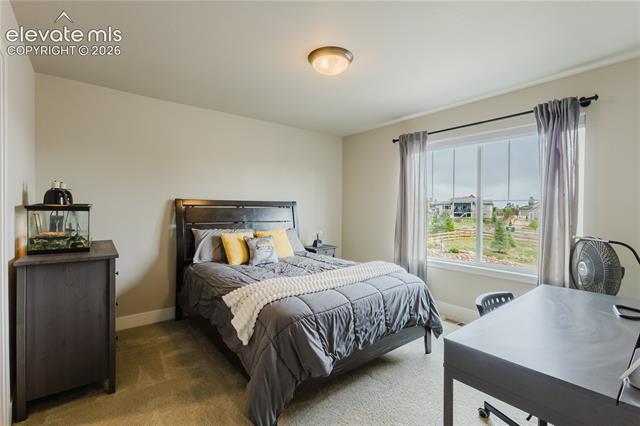 MLS Image for 16335  Treetop  ,Monument, Colorado