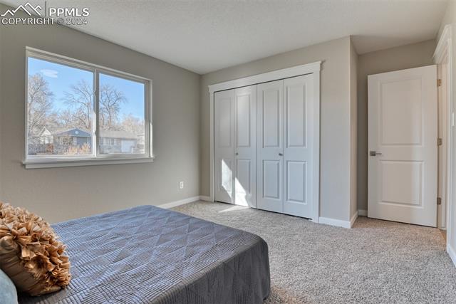 MLS Image for 805  Querida  ,Colorado Springs, Colorado